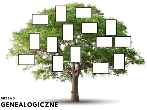 drzewo genealogiczne z datami publikacji prac naukowych