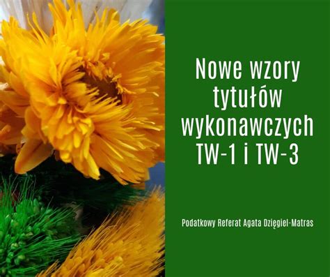 Wzory tytułów wykonawczych