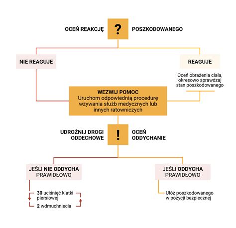 Schemat postępowania egzekucyjnego z nieruchomości