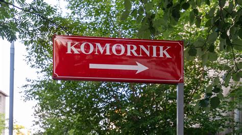 Komornik i księgowy