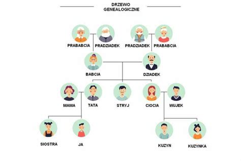 Drzewo genealogiczne z kolejnością dziedziczenia ustawowego