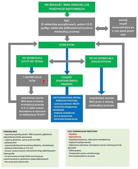 Schemat postępowania komorniczego przy braku majątku