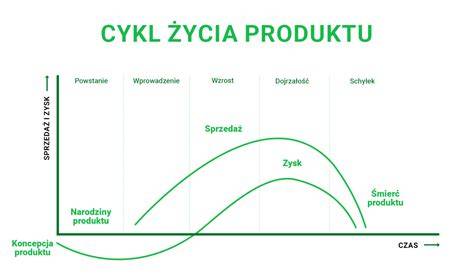 Wizualizacja: cykl życia wierzytelności od powstania do egzekucji