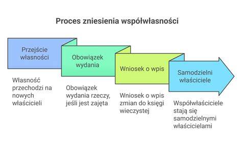 Statystyczny diagram procesu zniesienia współwłasności i wpływu egzekucji