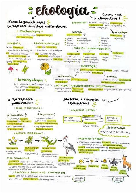 Mapa zależności między kategoriami wierzycieli a wysokością funduszy