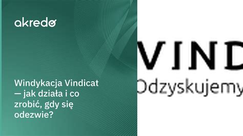 Interfejs platformy Vindicat.pl z robotem windykacyjnym