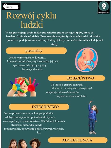 Infografika: etapy windykacyjne i terminy