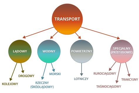 Infografika: Struktura typowych podmiotów transportowych w Polsce