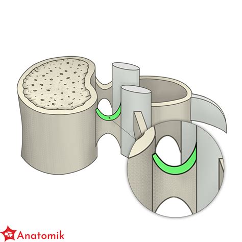 Schemat ustalania kręgu spadkobierców przez wierzyciela