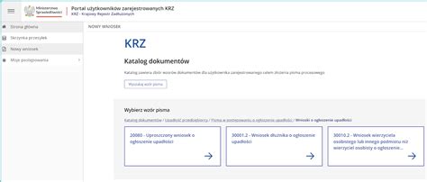 Interfejs systemu Krajowego Rejestru Zadłużonych