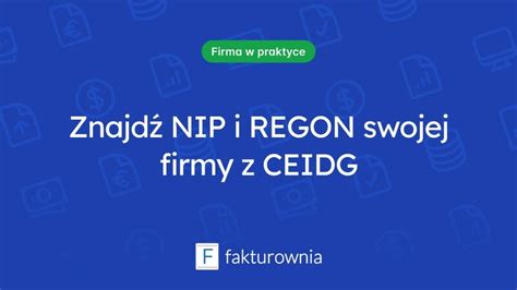 Infografika: Kluczowe dane firmy PAR-TIR DAWID PARZYCH (CEIDG, NIP, REGON, PKD)