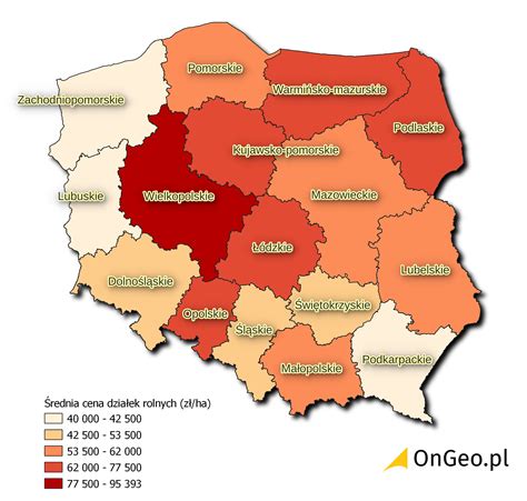 Mapa lokalizacji nieruchomości w Ruszkowie Pierwszym