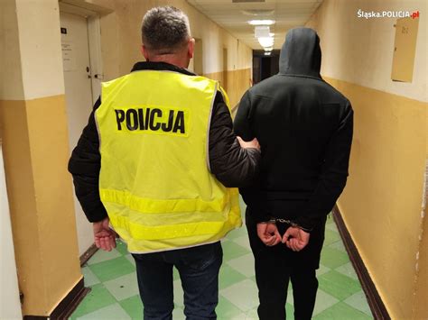 Policja zatrzymuje złodzieja gołębi