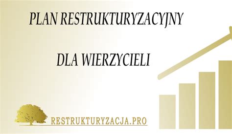 Mapa pokazująca strukturę postępowania restrukturyzacyjnego z zaznaczeniem roli wierzycieli