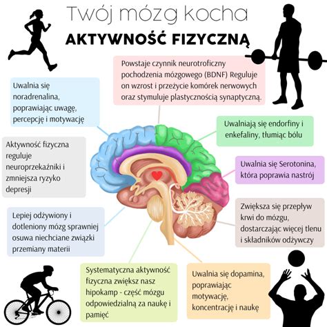 schemat_wplyw_wierzyciela_i_organu_egzekucyjnego.png